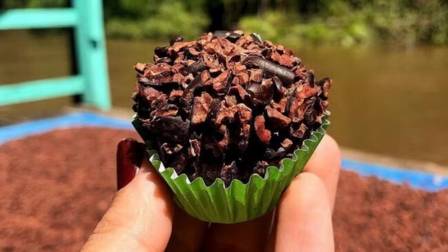 Passeio de barco leva visitantes à fábrica Filha do Combu, na Ilha do Combu, onde cacau orgânico vira chocolate premiado em meio à floresta amazônica