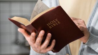 Separar e meditar nesses textos pode ajudar a fortalecer os laços, trazer paz para dentro de casa e renovar a esperança, mesmo em tempos desafiadores.