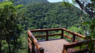 Chapada dos Veadeiros reúne cachoeiras, cânions e vegetação típica do Cerrado em área protegida de Goiás