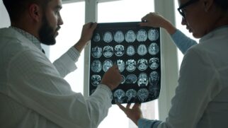 Cientistas divulgam estudo que permite entender o sistema de recompensa do cérebro