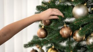 A busca por ambientes mais equilibrados demonstra uma mudança marcante na forma de celebrar o Natal
