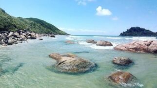 Com pouco mais de 12,5 mil habitantes, segundo o IBGE de 2020, Cananéia é uma estância turística pequena em população, mas gigante em biodiversidade.