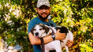 Animais idosos costumam ter temperamento estável e tendem a fazer menos bagunça