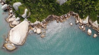 Paraíso catarinense ganha fama de "nova Noronha" e surpreende visitantes