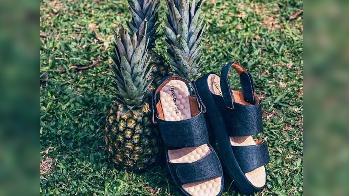 Materiais são produzidos a partir de fibras de abacaxi, folhas, látex, cogumelos, kombucha ou até resíduos da indústria de frutas