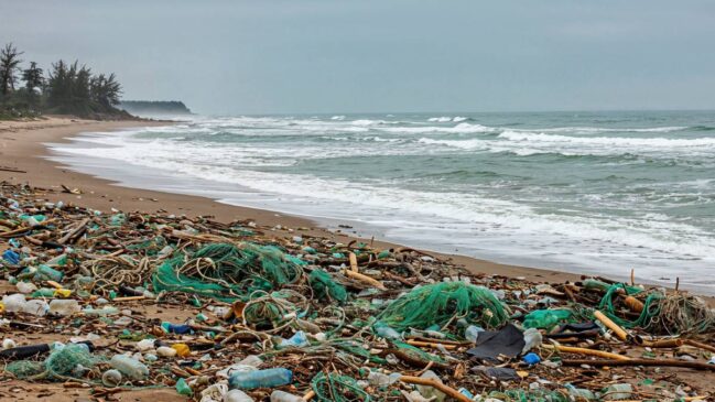 Segundo a Cetesb, Guarujá mantém 99% de suas praias em condições adequadas para o banho de mar