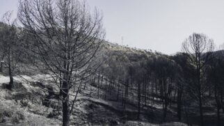Urupema, em Santa Catarina, é a cidade mais fria do Brasil durante o inverno