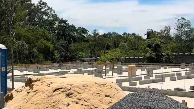 Porto Feliz inicia maior investimento da história na causa animal