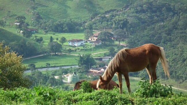 Destinos combinam história, paisagens naturais e clima tranquilo para quem busca descanso no fim de dezembro