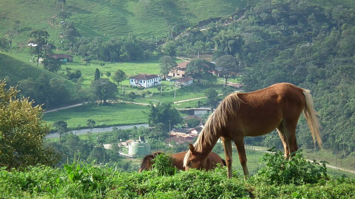 Destinos combinam história, paisagens naturais e clima tranquilo para quem busca descanso no fim de dezembro