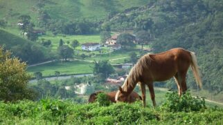 Região possui ruas charmosas, natureza exuberante e atrações ao ar livre durante todo o ano