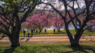 Quem chega a São Roque pelo vinho costuma descobrir que a cidade também funciona como "parque de diversões" ao ar livre, com programas para diferentes idades e estilos.