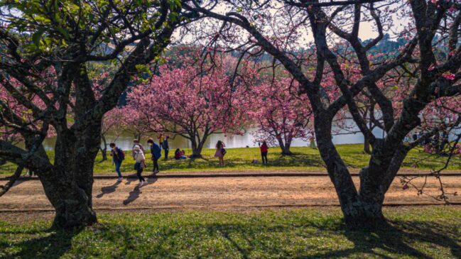 Quem chega a São Roque pelo vinho costuma descobrir que a cidade também funciona como "parque de diversões" ao ar livre, com programas para diferentes idades e estilos.