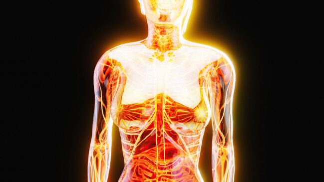 Biofótons são partículas de luz geradas no metabolismo e ajudam a explicar por que o corpo 'brilha' sem que a gente veja