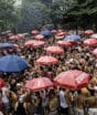 Quer desfilar no Carnaval de Rua de São Paulo em 2027? Inscrições começam em setembro; veja datas e como cadastrar seu bloco
