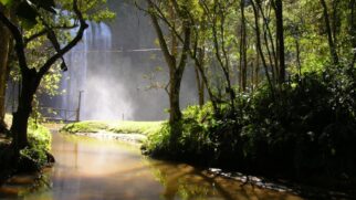 Atração principal é a imponente queda de 38 metros de altura, formada pelas águas do Rio Pinhal, um afluente do Rio Paraitinga