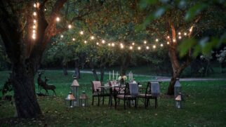 Um jardim iluminado melhora o clima do espaço externo; entenda como montar, onde colocar luminárias e quais erros evitar