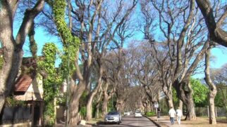 Você precisa visitar esse local quando for em Buenos Aires