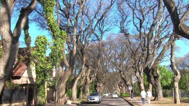 Você precisa visitar esse local quando for em Buenos Aires