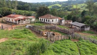 Cinco irmãos que nunca se casaram vivem juntos em um sítio e mantêm de pé um casarão antigo, carregado de memórias com atividades típicas da roça