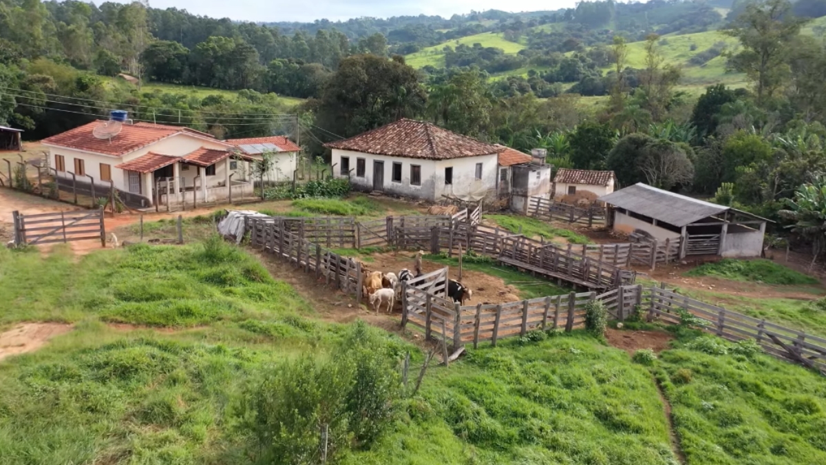 Irmãos que nunca casaram se juntam e vivem em um casarão no interior
