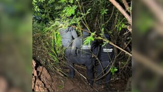Corpo da vítima foi localizado em uma área de mata