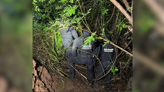 Corpo da vítima foi localizado em uma área de mata