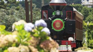 Um passeio imperdível é a Estação Eugênio Lefévre, construída em 1916