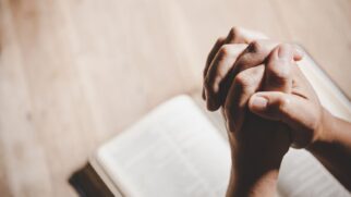 O Papa escolhe as intenções e confia na sua rede de oração com o intuito de mobilizar os católicos
