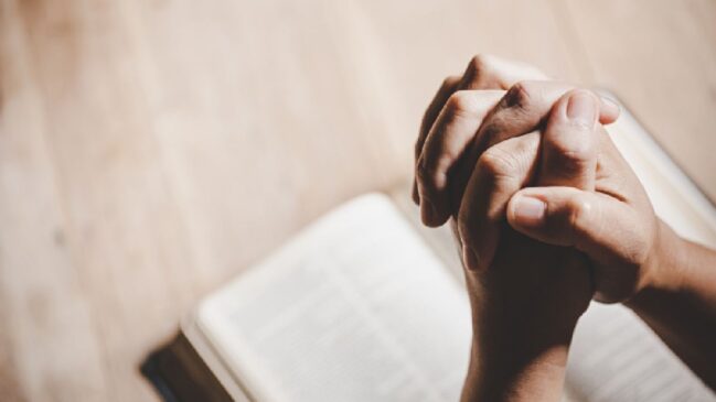 O Papa escolhe as intenções e confia na sua rede de oração com o intuito de mobilizar os católicos