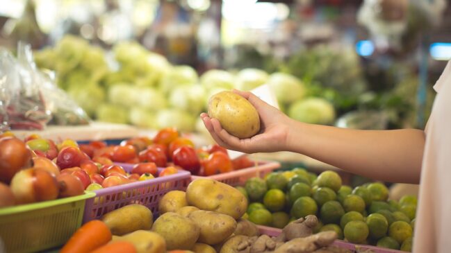 Local adota modelo pioneiro no Brasil de cooperativismo participativo, inspirado em modelos estrangeiros
