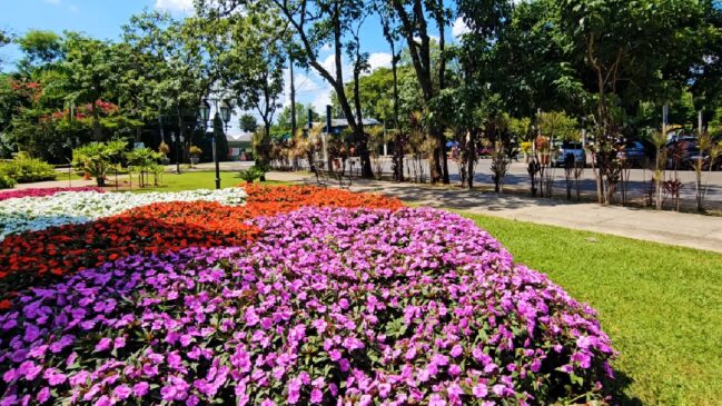 Nome da cidade é um acrônimo que simboliza a cooperação entre três elementos: Holanda, América e Brasil