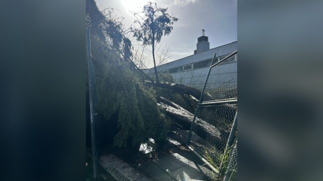 Coimbra, na região central do país, foi uma das cidades mais afetadas