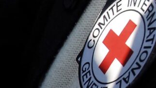 Coluna surgiu a partir de uma conversa informal. Hânya conta que, durante um almoço em família, mencionou que na semana seguinte teria início a IV Conferência Global de Familiares de Pessoas Desaparecidas