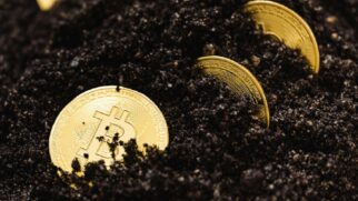 Tesouro se esconde em meio a toneladas de terra