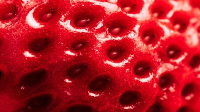 Fruta popular é muito consumida, tanto em natura quanto em bebidas e sobremesas