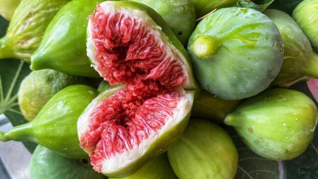 O curioso caso da planta que não é fruta e nem planta carnívora