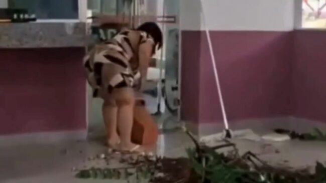 Nilse Alves Pontes se exaltou e foi filmada quebrando vasos de plantas no hall do prédio após descobrir sobre a morte da filha