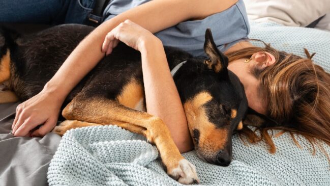 Estando bem-cuidado e com a higiene em dia, dormir juntos do pet faz bem para ambas as partes