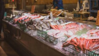 Aquecimento das águas impulsiona Gambierdiscus australes em costas espanholas: o que fazer?