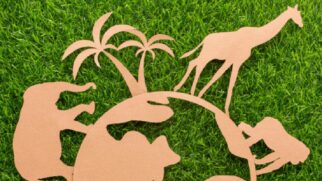 Em uma época marcada pelo cuidado com o meio ambiente, a descoberta soa como conquista