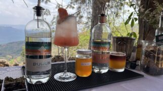 Diferencial do Gin Puhuk está no uso de mel de abelhas nativas sem ferrão, produzido na própria propriedade da família