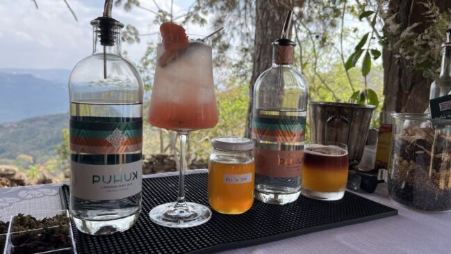 Diferencial do Gin Puhuk está no uso de mel de abelhas nativas sem ferrão, produzido na própria propriedade da família