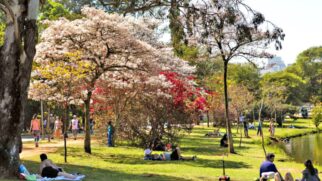 Conheça os melhores parques de São Paulo