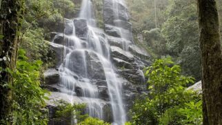 Com mais de 30 mil hectares, o parque é o mais antigo do Brasil e um verdadeiro 'laboratório natural'