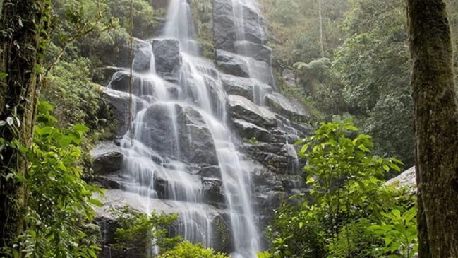 Com mais de 30 mil hectares, o parque é o mais antigo do Brasil e um verdadeiro 'laboratório natural'