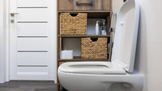 Apesar da popularidade dos modelos modernos, os sanitários tradicionais continuam presentes