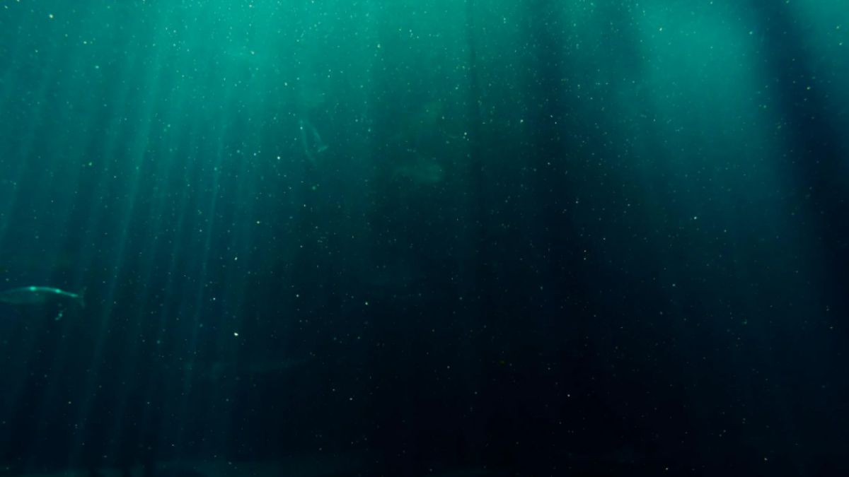 Formação encontrada nas profundezas do mar é considerada uma das mais curiosas já registradas (Foto: Pexels)