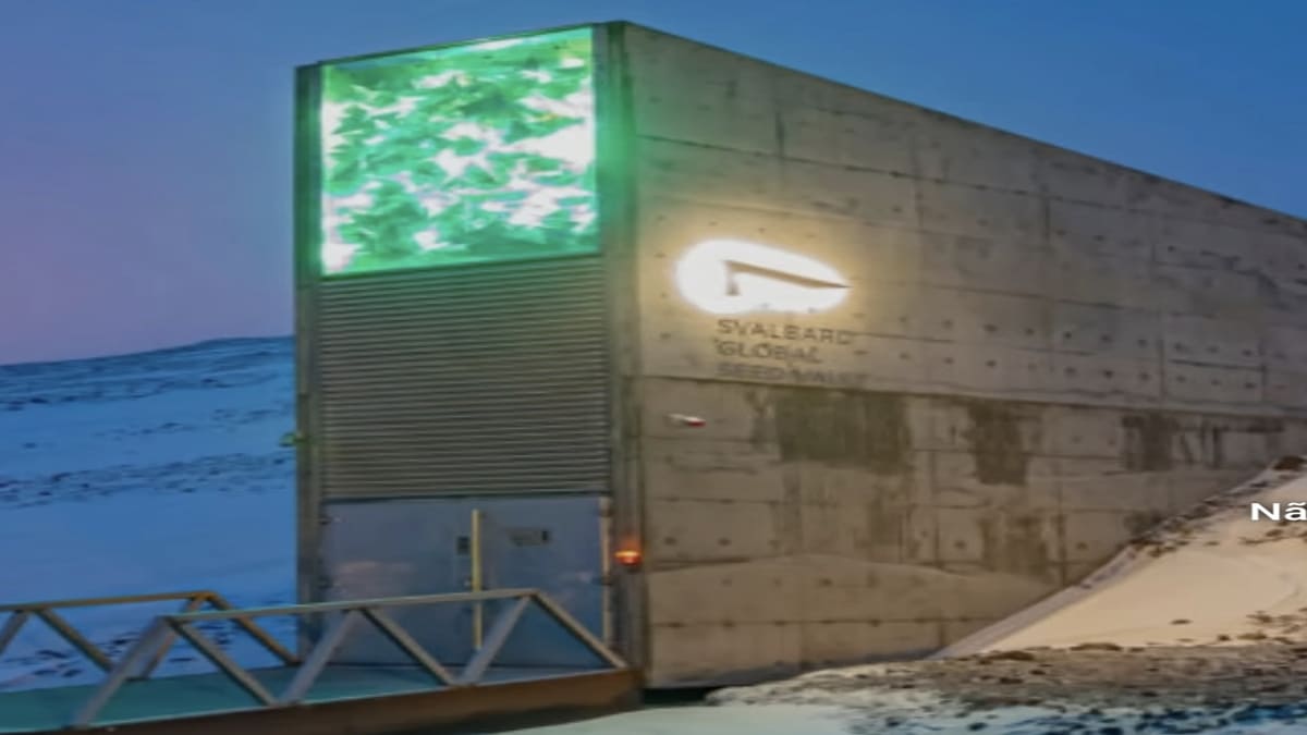 Entrada do Cofre do Fim do Mundo escavada em uma montanha no Ártico