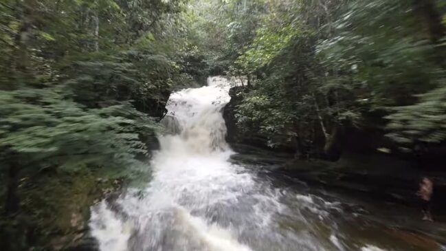 Vista aérea das cachoeiras cercadas pela floresta amazônica